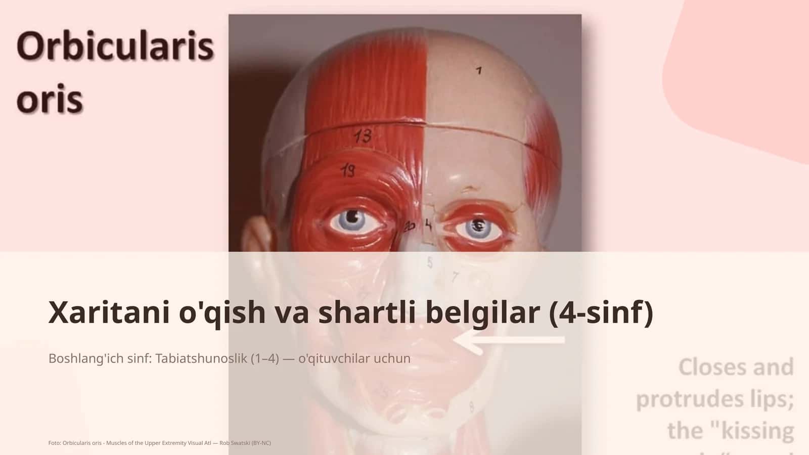 Xaritani o'qish va shartli belgilar (4-sinf) 1