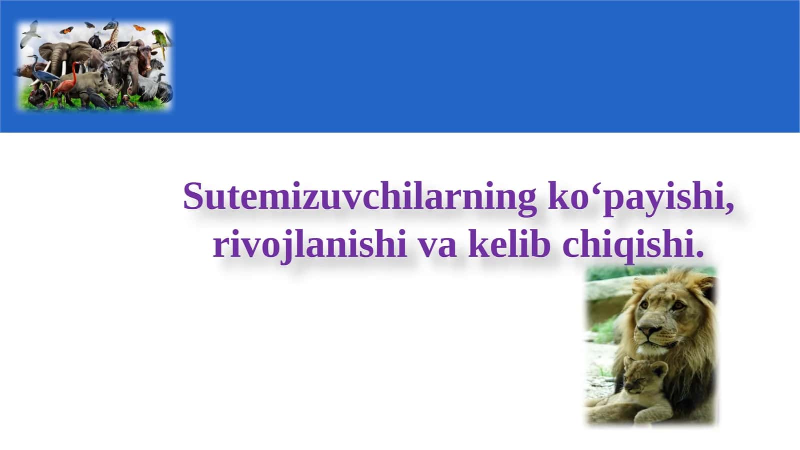 Sutemizuvchilarning ko‘payishi, rivojlanishi va kelibchiqishi 1