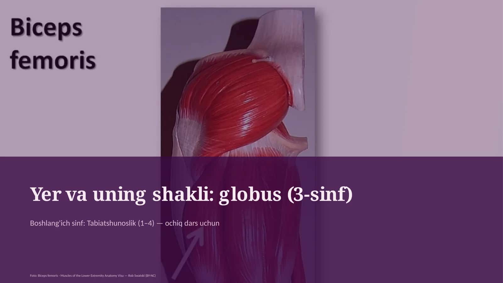 Yer va uning shakli: globus (3-sinf) 1