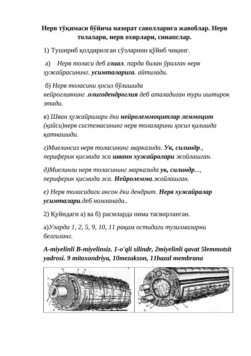 Нерв тўқимаси бўйича назорат саволларига жавоблар 1