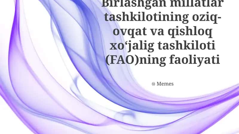 Qishloq ayollariga investitsiya dasturi 1