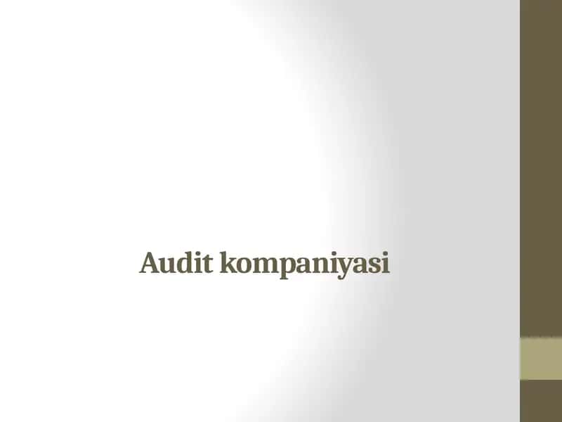 Auditning paydo bo'lishi va rivojlanishi 1