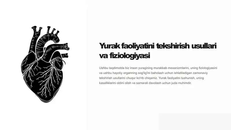 yurak faoliyatini tekshirish usullari. Yurak fiziologiyasi 1