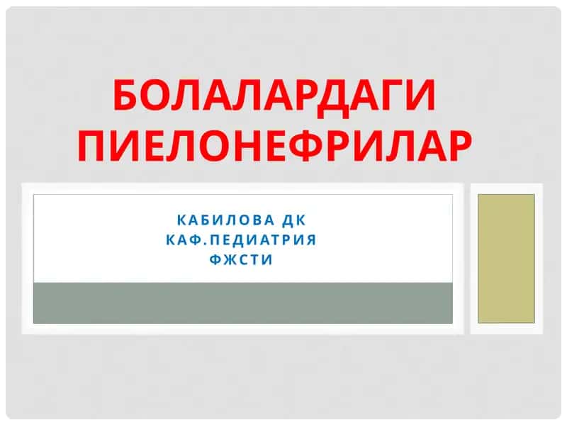 Пиелонефрит 1