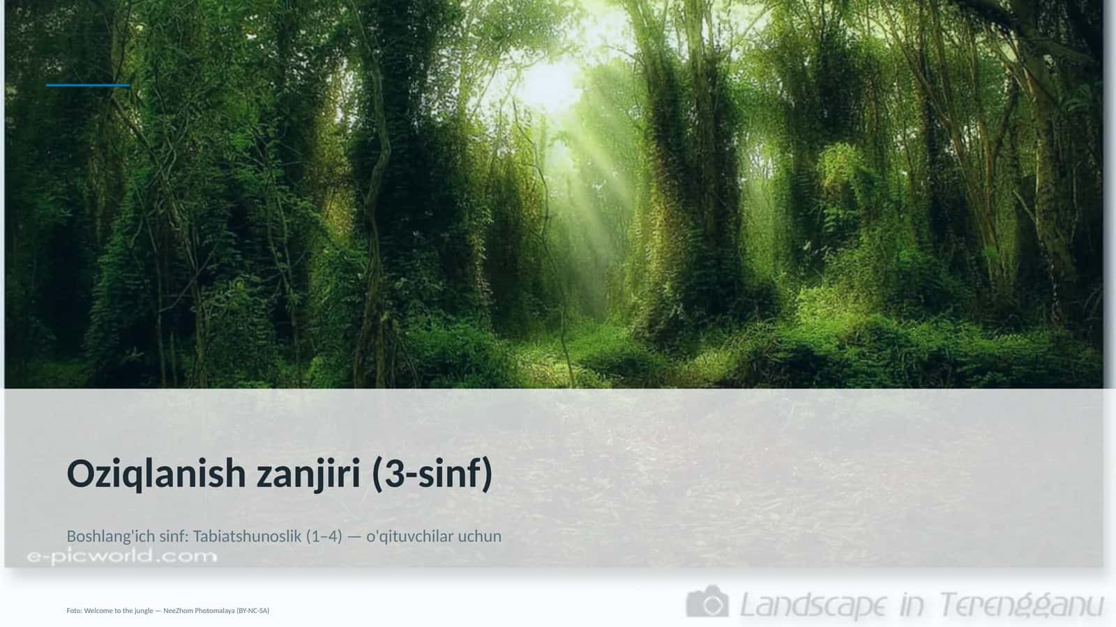 Oziqlanish zanjiri (3-sinf) 1
