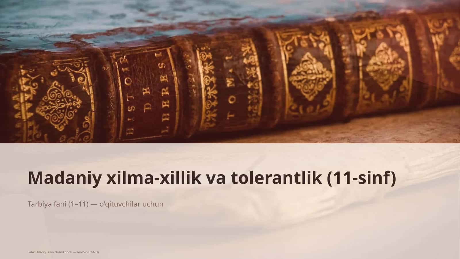 Madaniy xilma-xillik va tolerantlik (11-sinf) 1