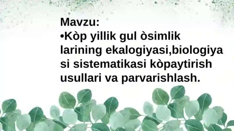 Koʻp yillik oʻsimliklar 1