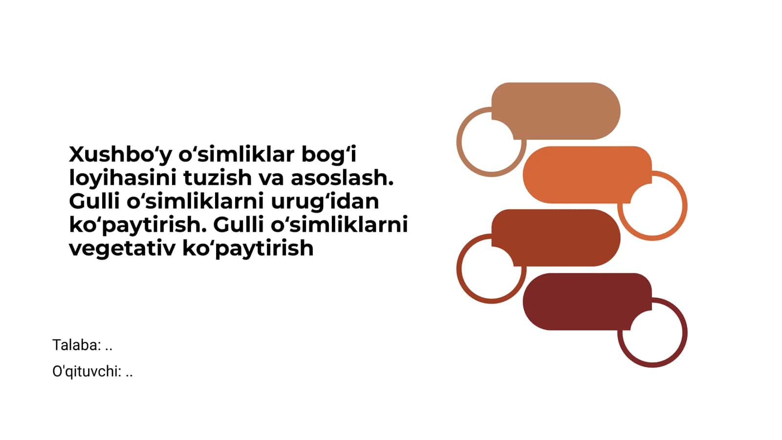 Xushbo‘y o‘simliklar bog‘i loyihasi 1