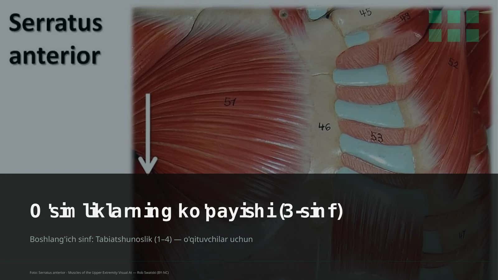 O'simliklarning ko'payishi (3-sinf) 1