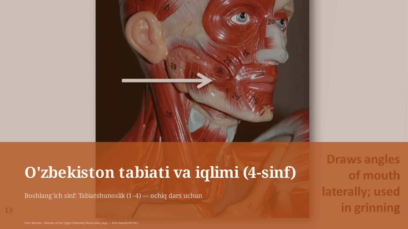 O'zbekiston tabiati va iqlimi (4-sinf) 1