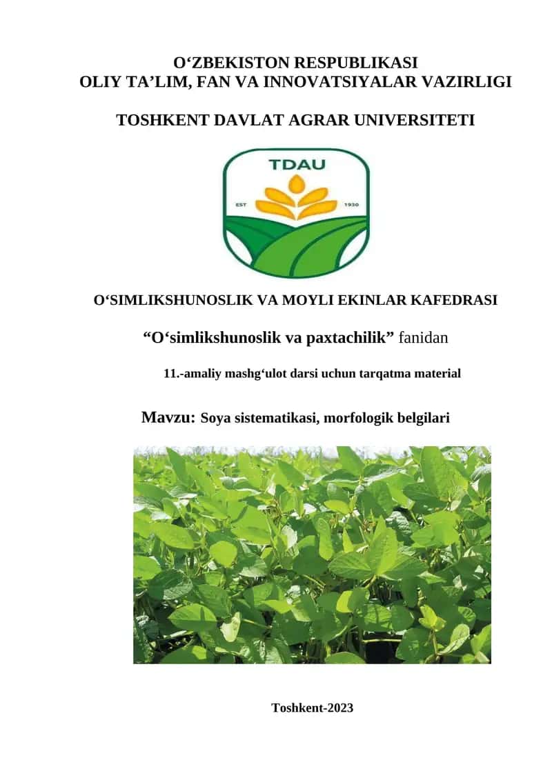 Soya sistematikasi, morfologik belgilari 1