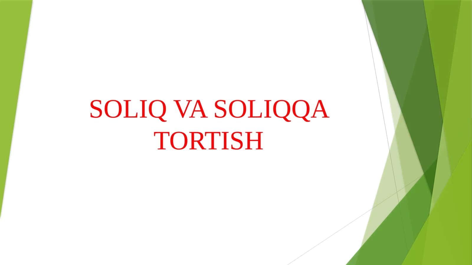SOLIQ VA SOLIQQA TORTISH 1