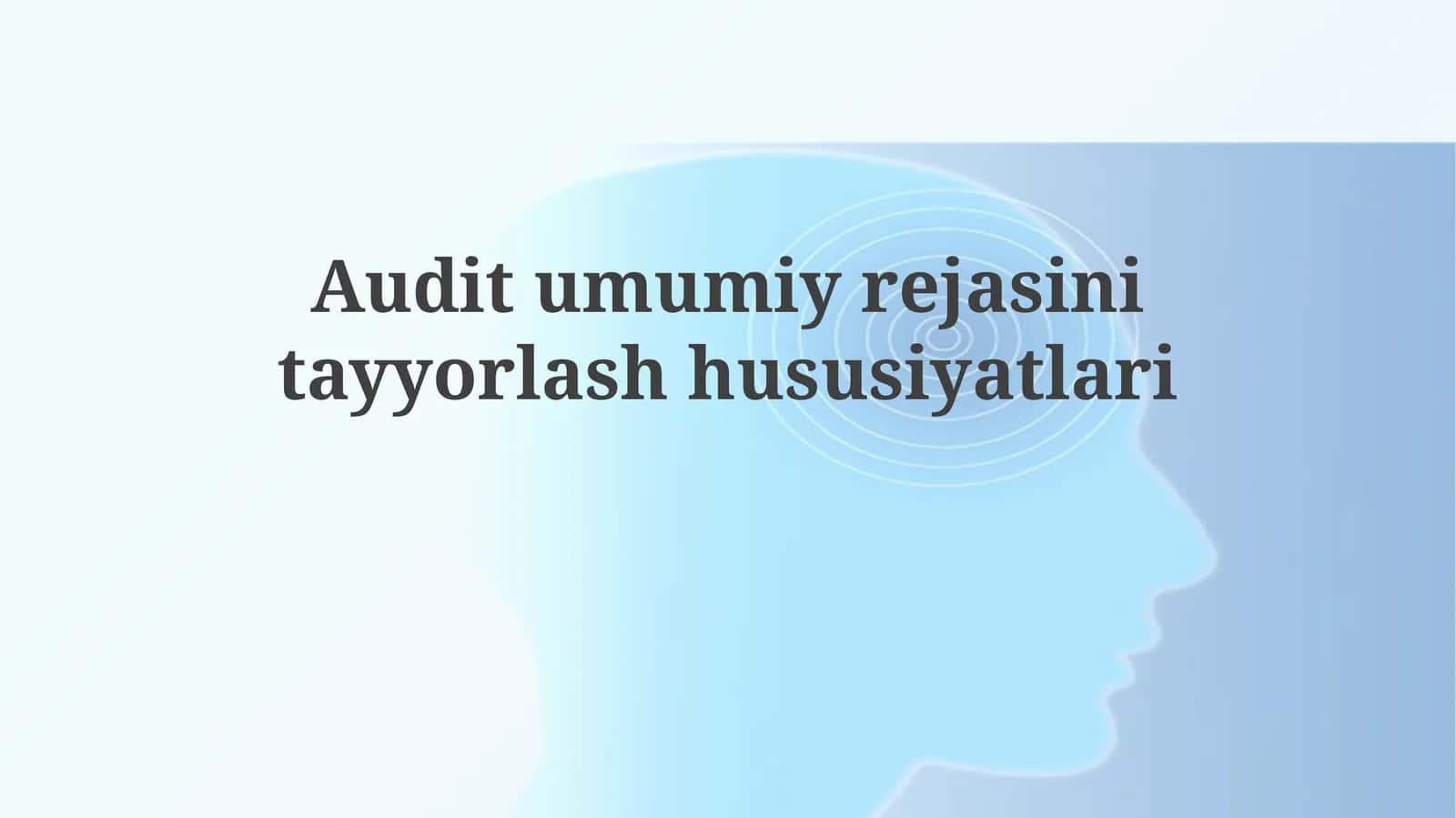 Auditumumiyrejasinitayyorlashhususiyatlari 1