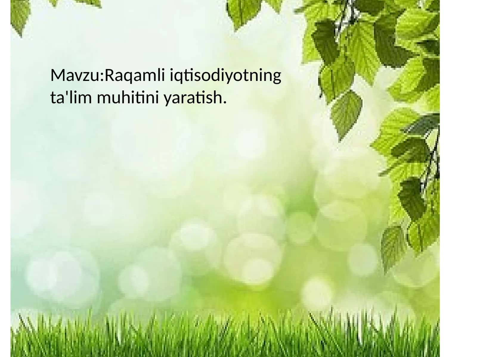Raqamli iqtisodiyotning ta'lim muhitini yaratish 1