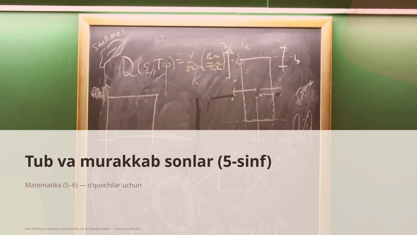 Tub va murakkab sonlar (5-sinf) 1