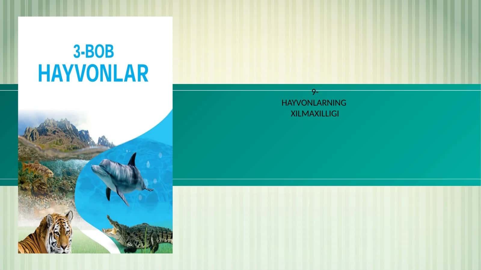 HAYVONLARNING XILMAXILLIGI 1