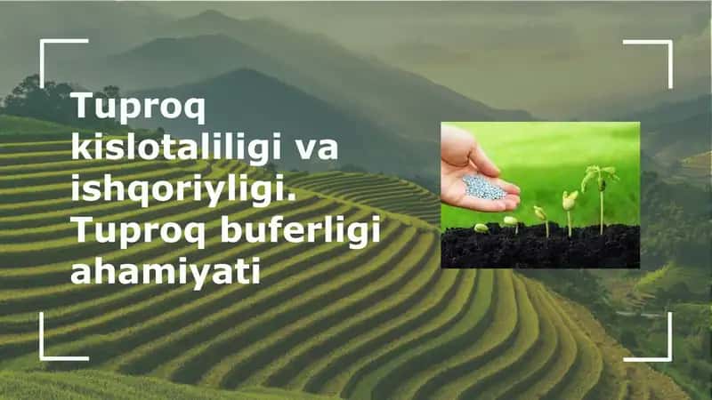 Tuproq kislotaliligi va ishqoriyligi. Tuproq buferligi ahamiyati 1