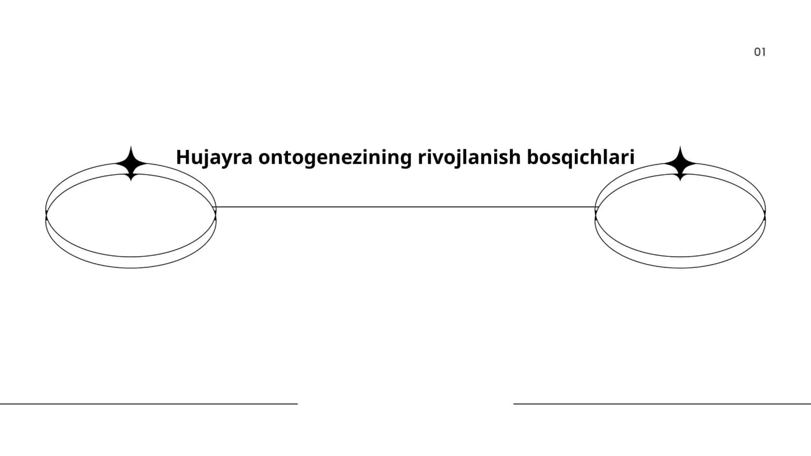 Hujayra ontogenezining rivojlanish bosqichlari 1