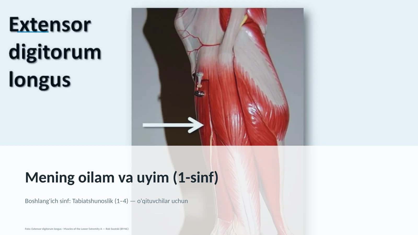 Mening oilam va uyim (1-sinf) 1