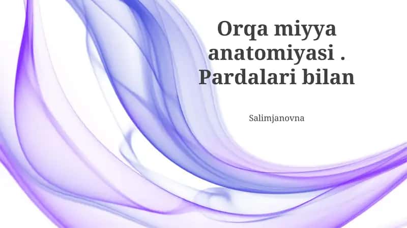 Orqa Miya Pardalarining Funksiyalari 1