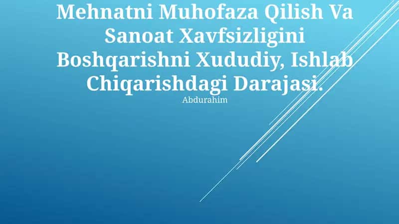 Mehnatni Muhofaza Qilish Va Sanoat Xavfsizligini Boshqarishni Xududiy, Ishlab Chiqarishdagi Darajasi 1