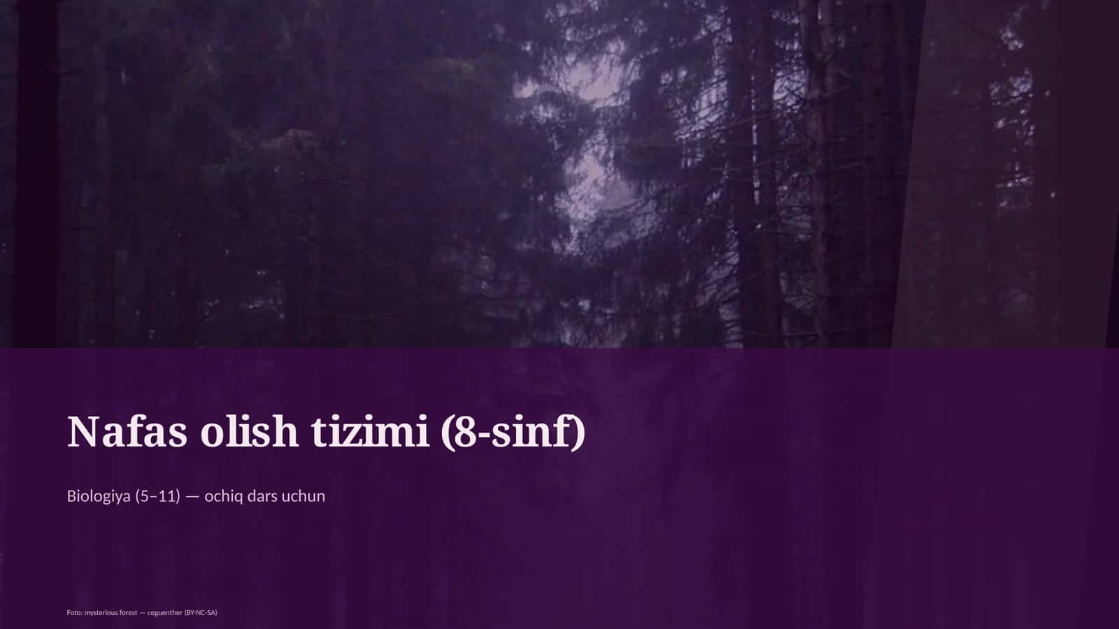 Nafas olish tizimi (8-sinf) 1