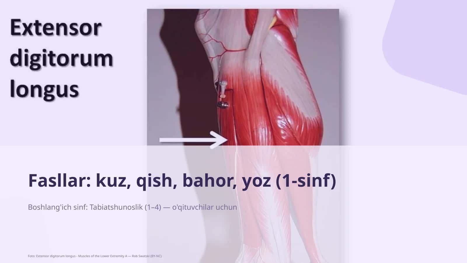 Tabiatshunoslik Dars Rejasi 1