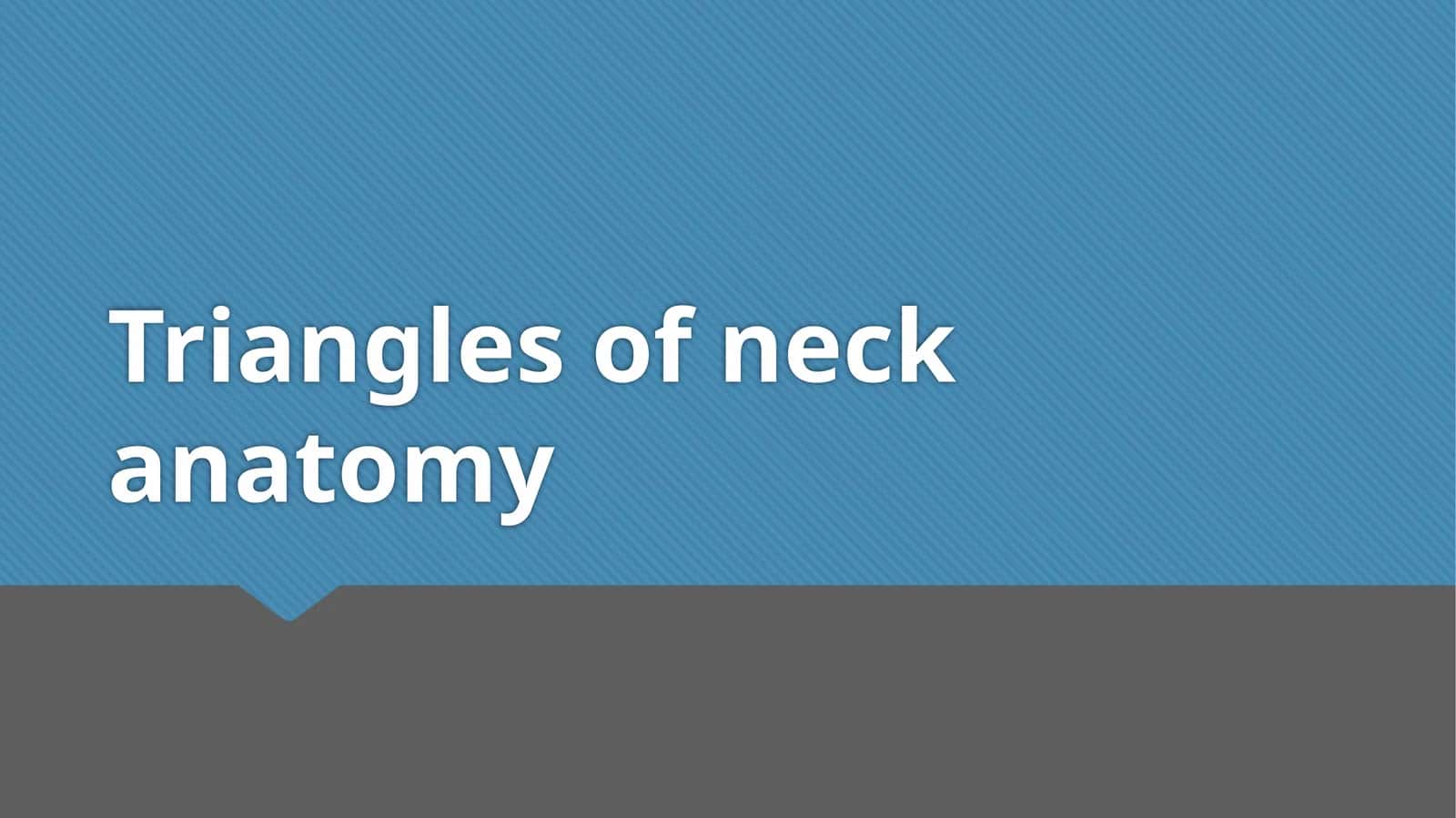 Triangles of neck anatomy 1