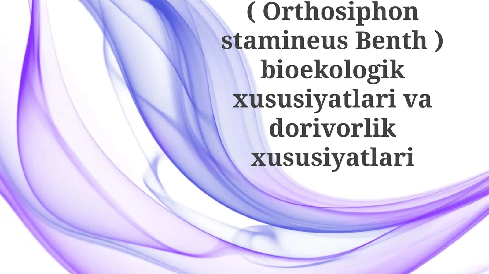 Buyrakchoyi(OrthosiphonstamineusBenth)bioekologik xususiyatlari va dorivorlik xususiyatlari 1