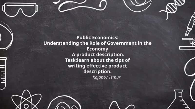 Public Economics: Understanding the Role of Government in the Economy 1