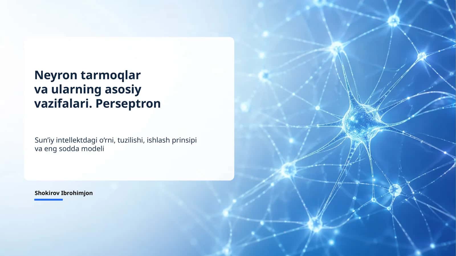 Neyron tarmoqlar va perseptron mustaqil ish 1
