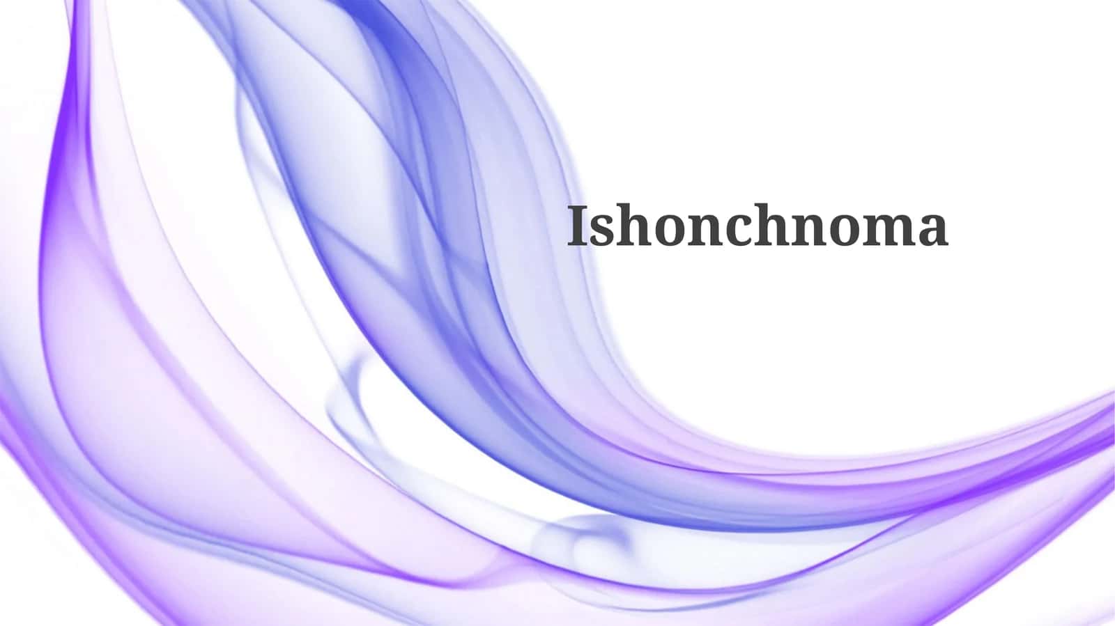 Ishonchnoma 1