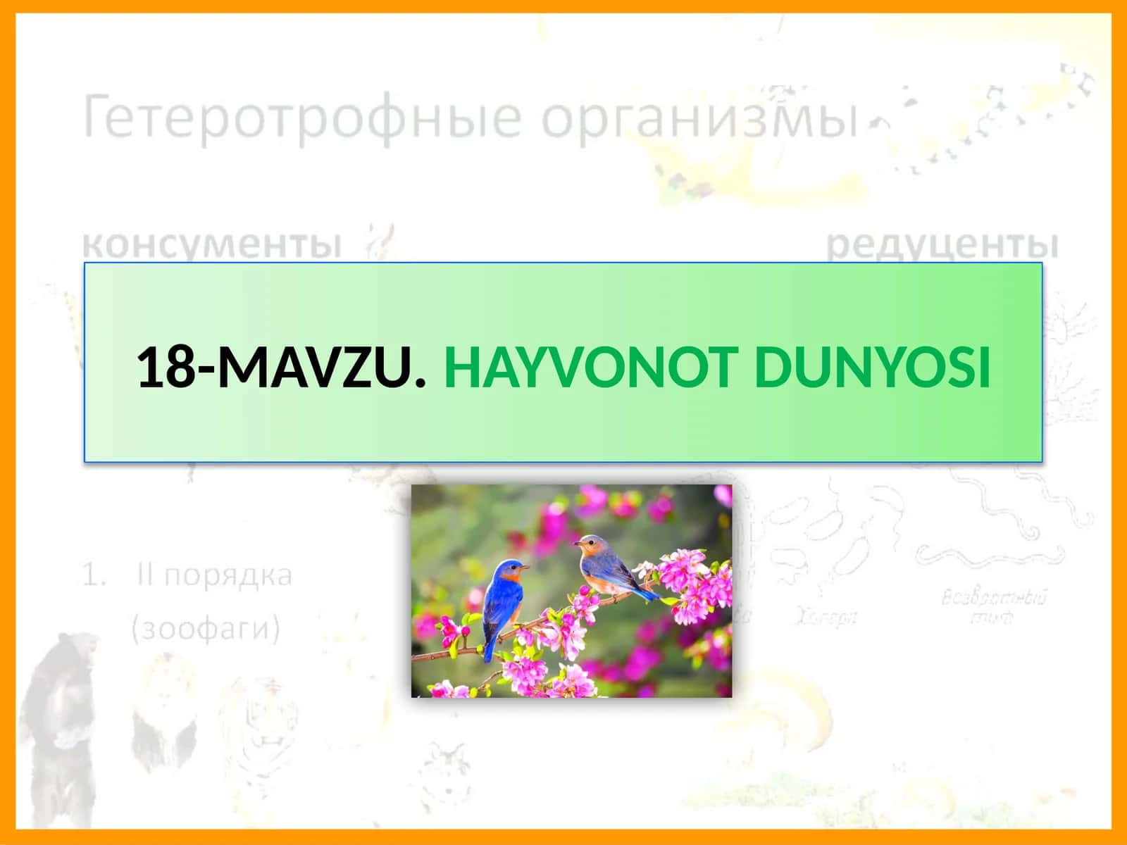 HAYVONOT DUNYOSI 1