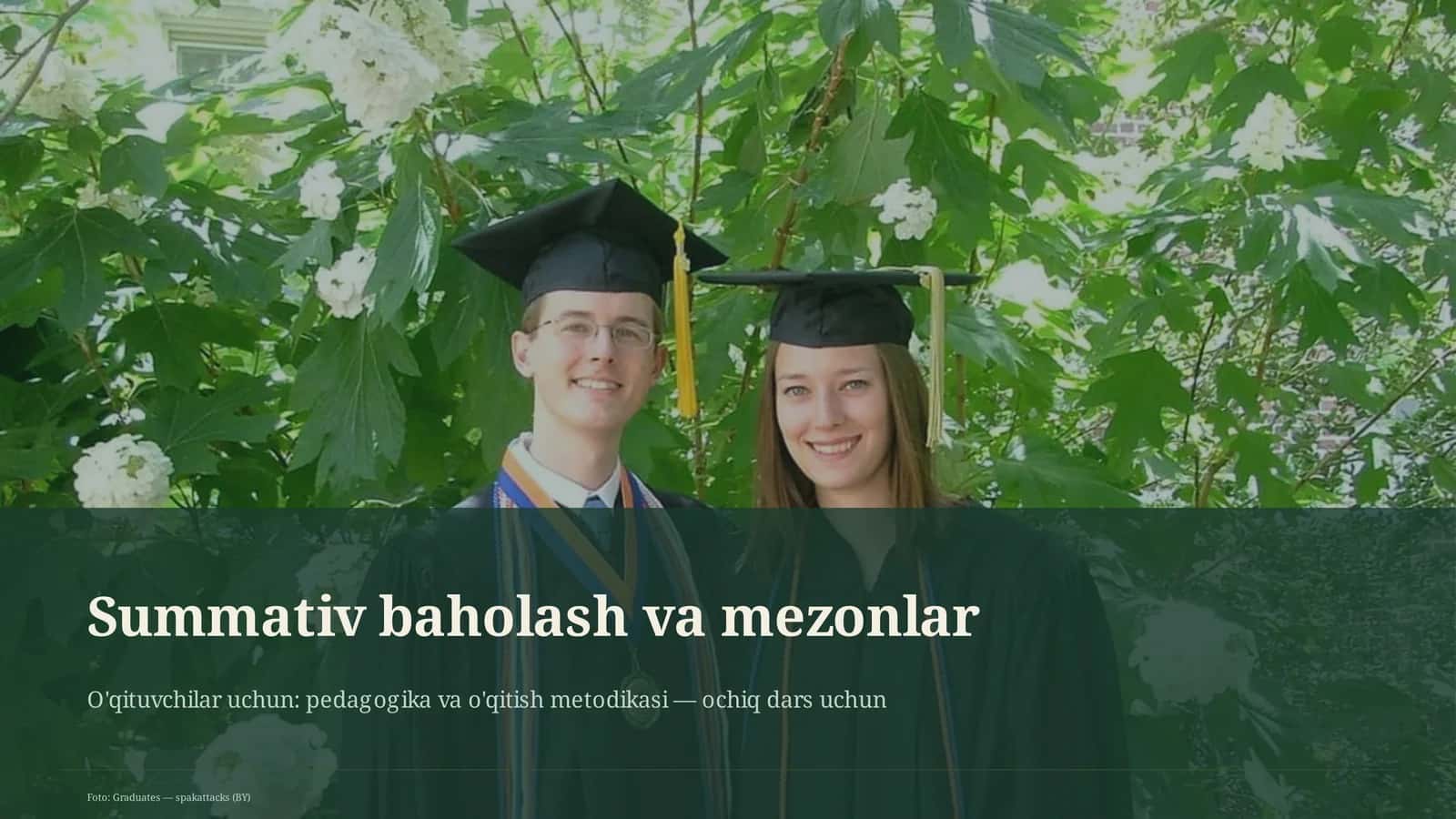 Summativ baholash va mezonlar 1