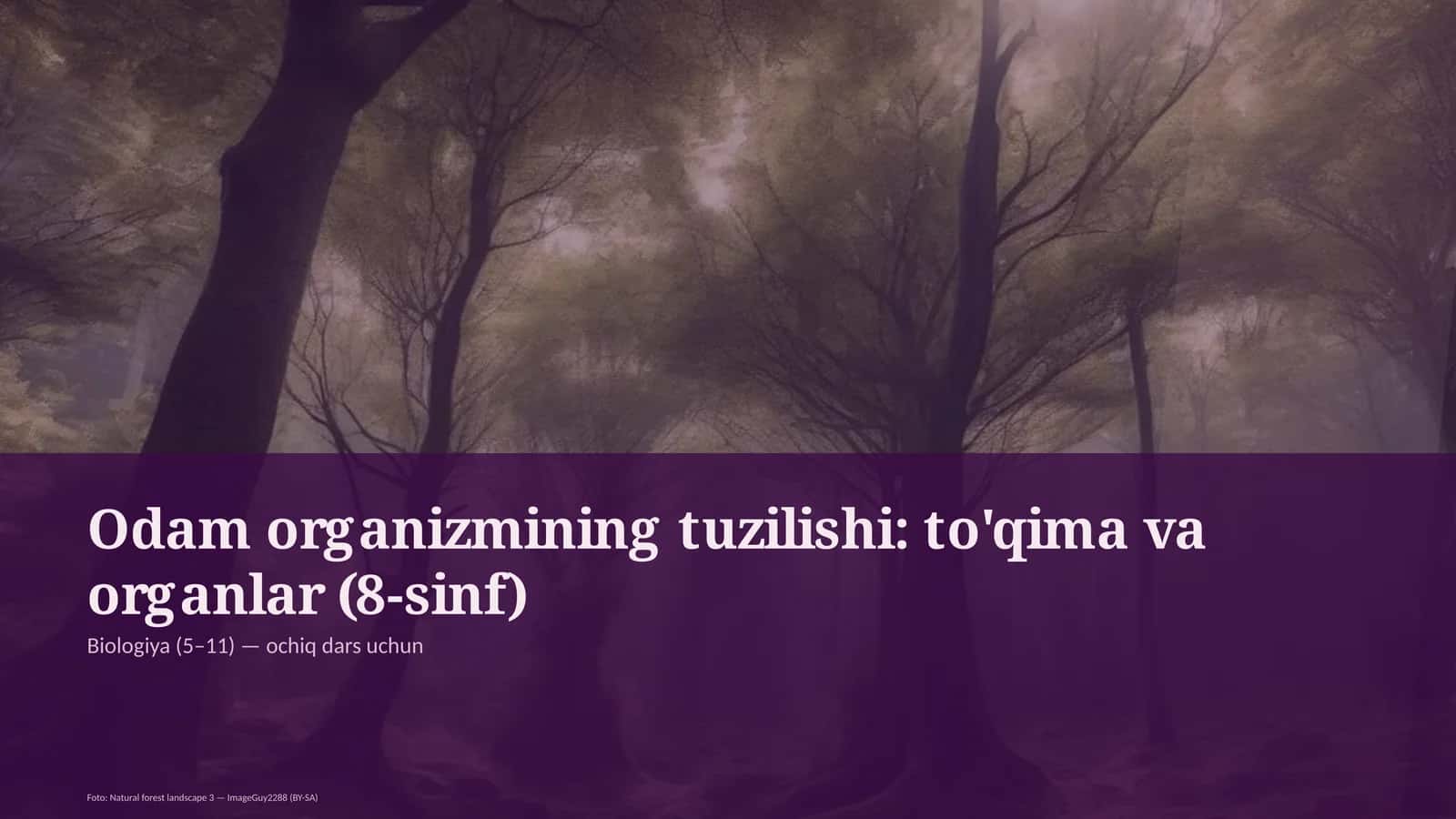 Odam organizmining tuzilishi: to'qima va organlar (8-sinf) 1