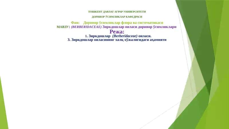 DORIVOR UZIMLIK 1