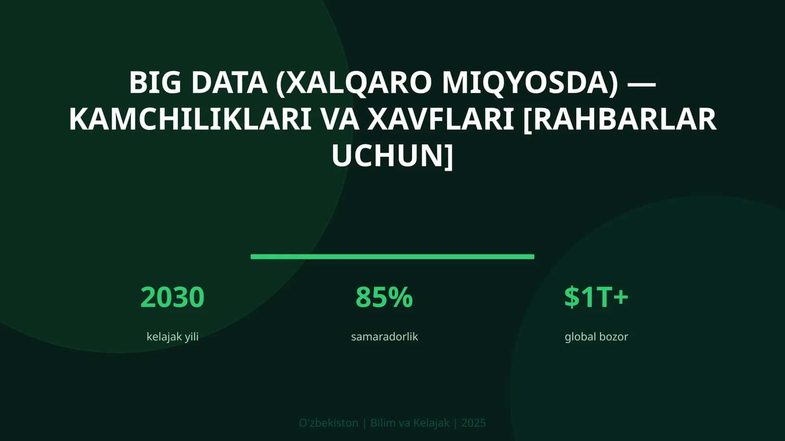 Big Data (XALQARO MIQYOSDA) — KAMCHILIKLARI VA XAVFLARI [RAHBARLAR UCHUN] 1