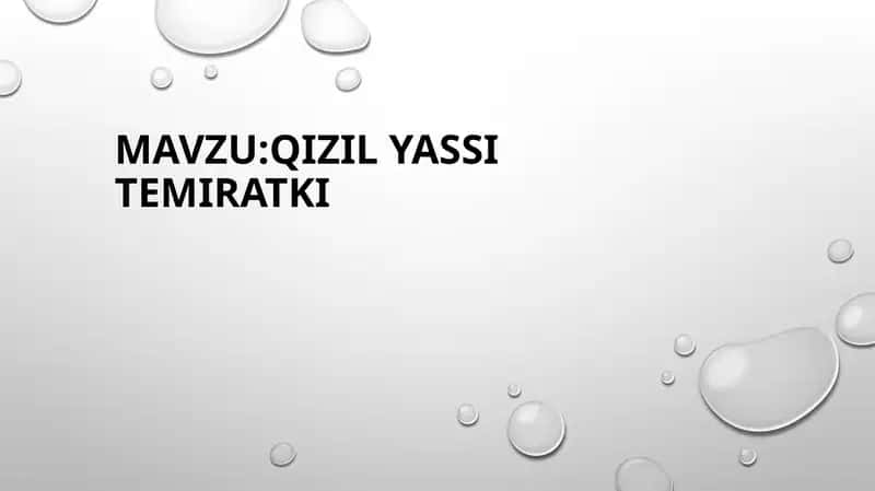 Qizil yassi temiratki 1