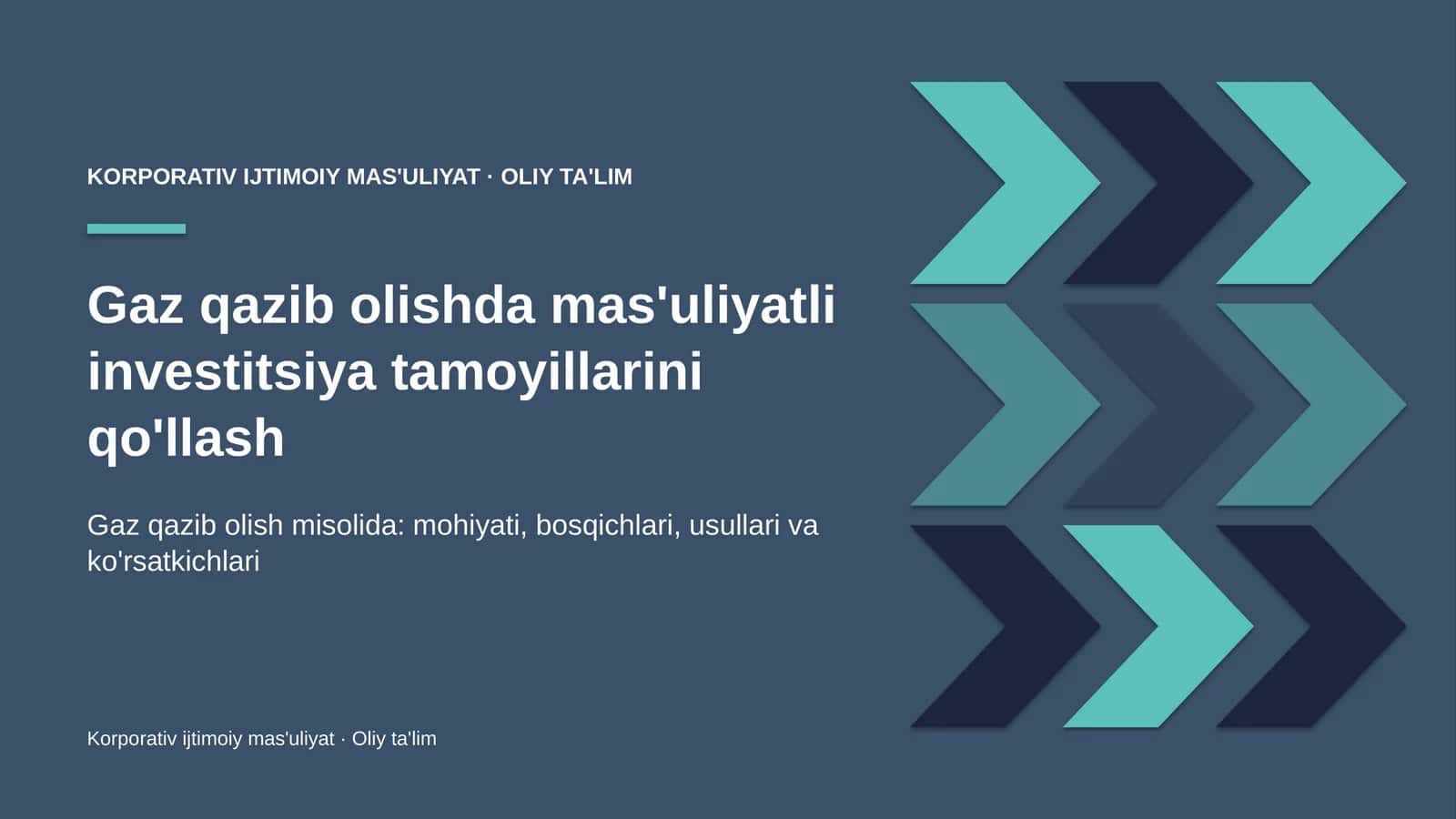 gaz qazib olishda mas'uliyatli investitsiya tamoyillarini qo'llash 5223 1