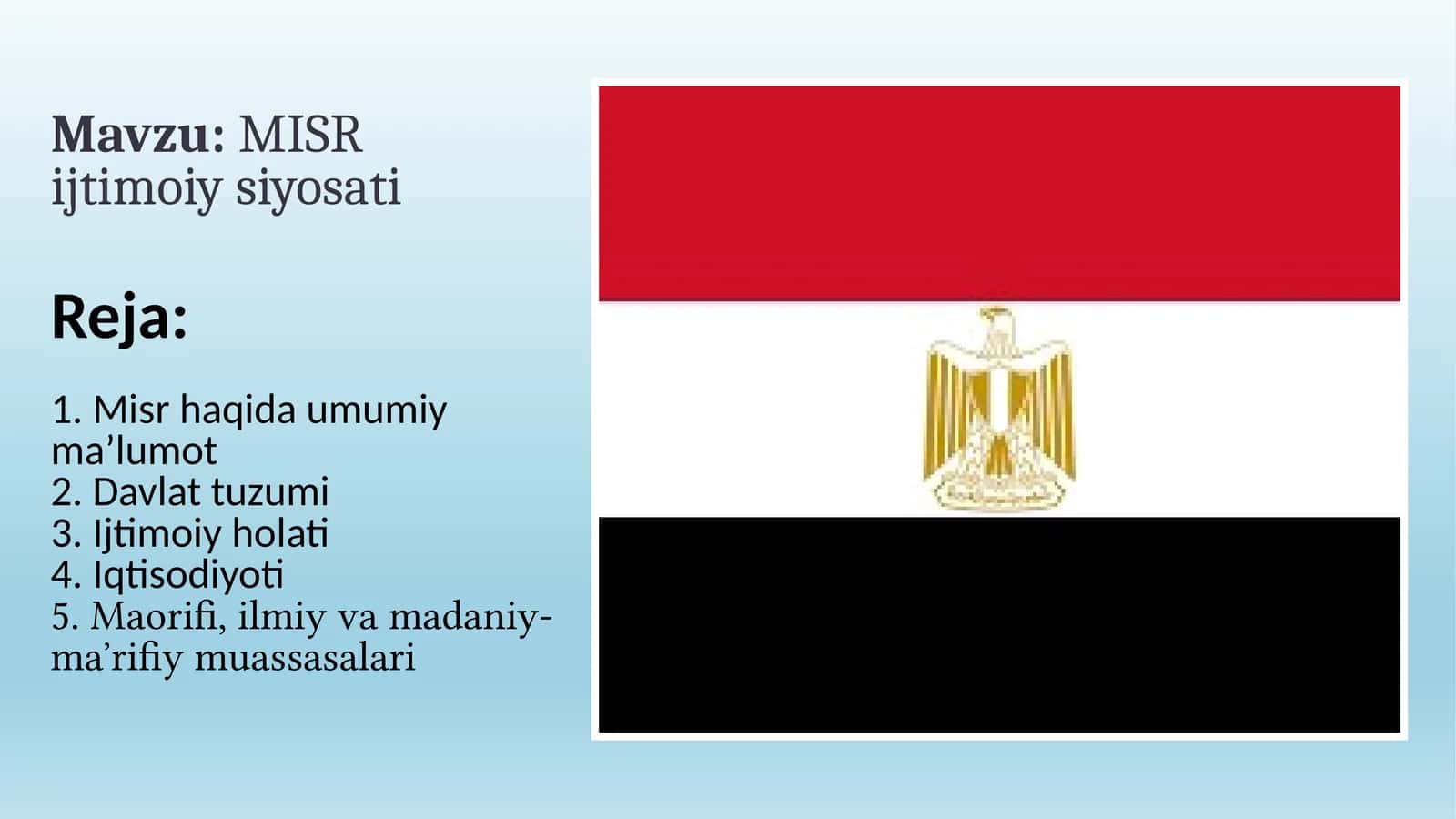 MISR ijtimoiy siyosati 1