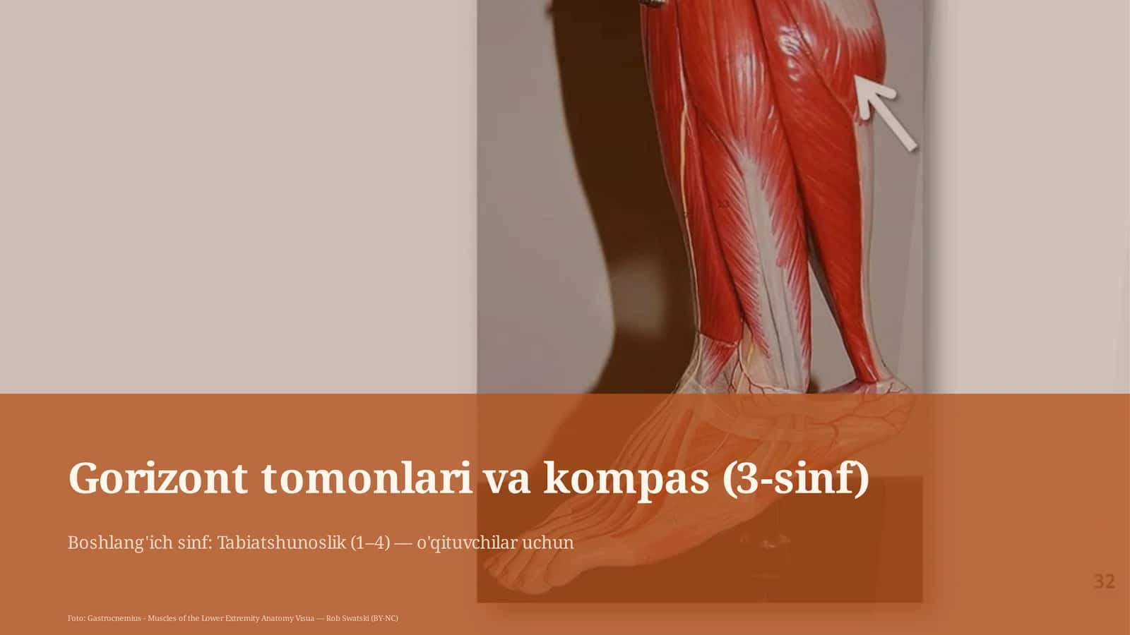 Gorizont tomonlari va kompas (3-sinf) 1