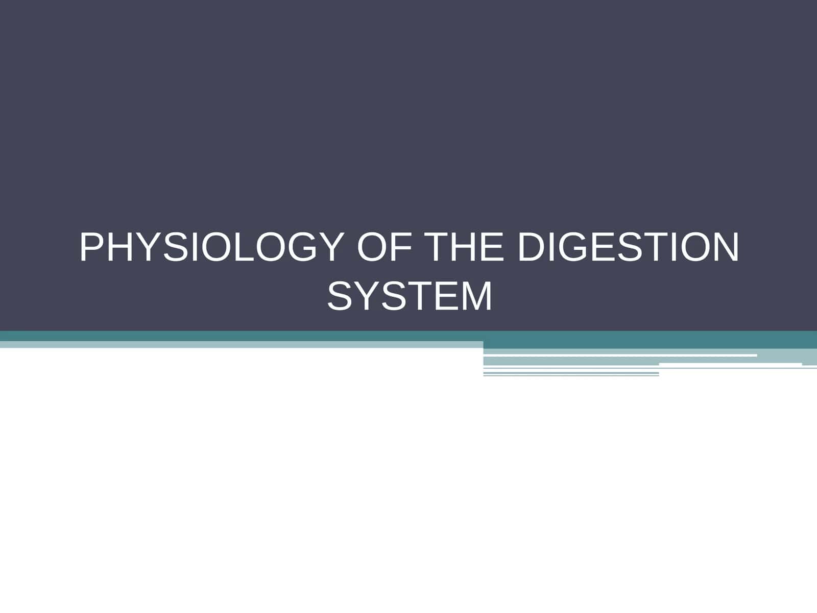 PHYSIOLOGY OF THE DIGESTION SYSTEM 1