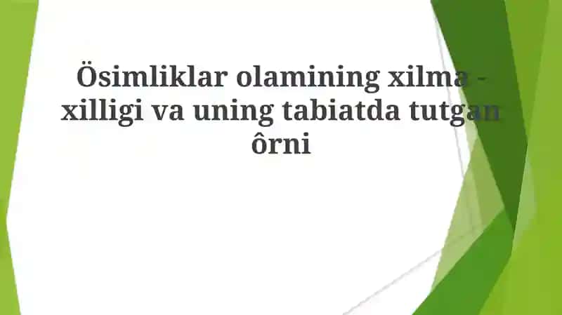 O'simliklar olamining xilma-xilligi va uning tabiatdagi o'rni