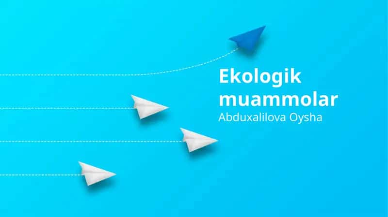 Ekologik muammolar 1