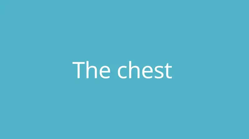The chest 1