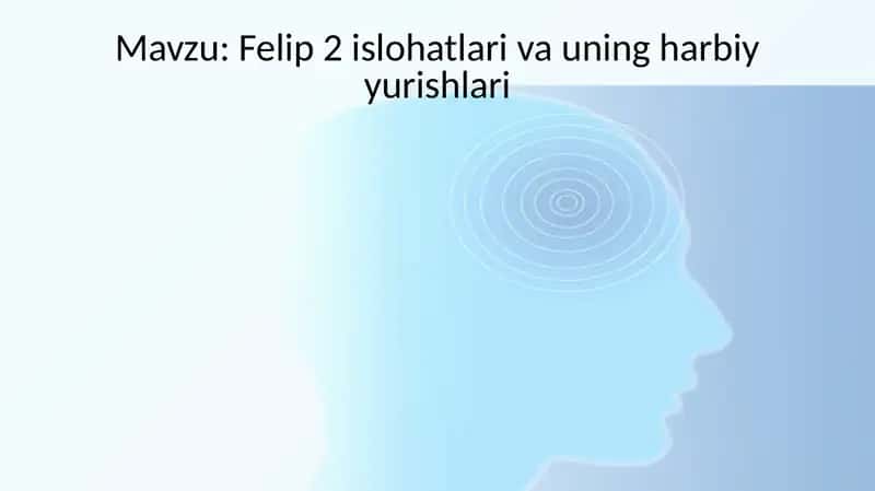 Felip II islohatlari va uning harbiy yurishlari 1