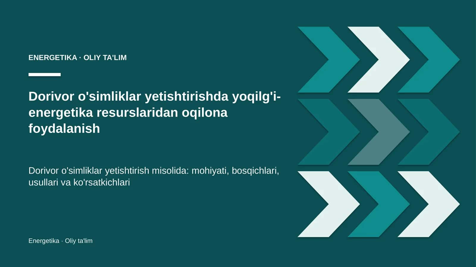 dorivor o'simliklar yetishtirishda yoqilg'i energetika resurslaridan oqilona foydalanish 7448 1