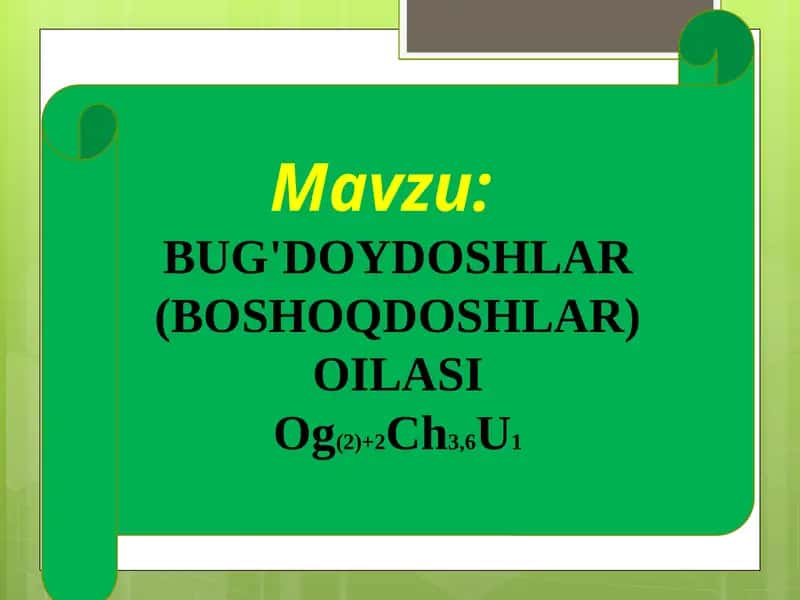 BUG'DOYDOSHLAR 1