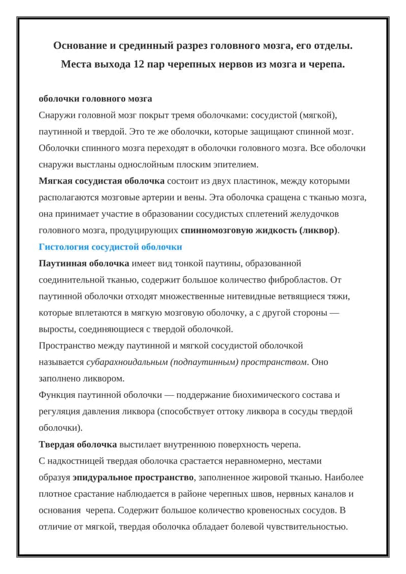Оболочки головного мозга 1