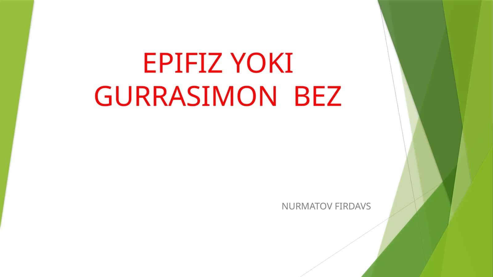 EPIFIZ YOKI GURRASIMON BEZ 1